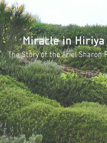 Miracle in Hirija