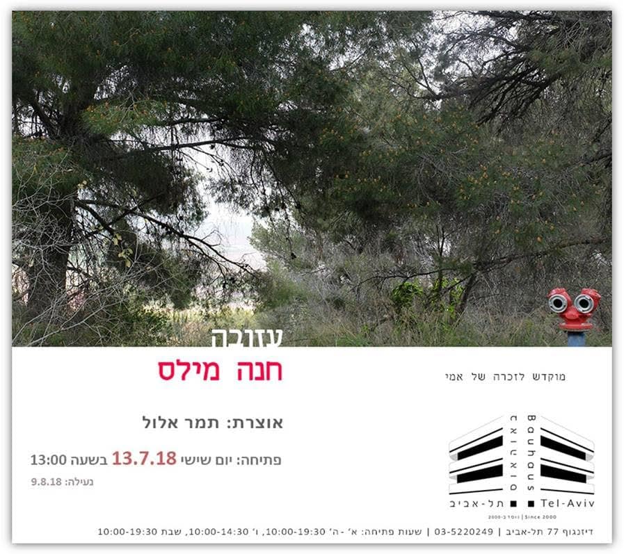 עזובה – צילום חנה מילס